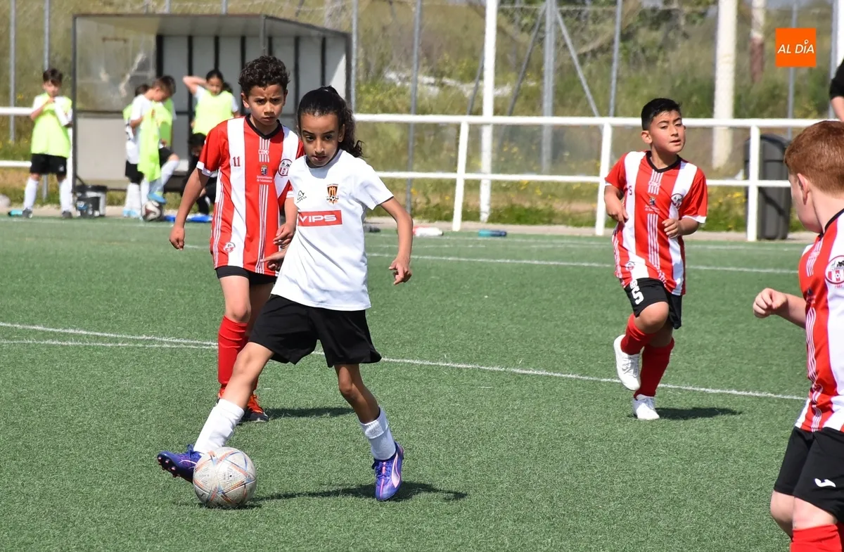 Foto 11 - El Benjam&iacute;n B del Ciudad Rodrigo golea en el &uacute;ltimo partido del curso 24/25 en los Campos de To&ntilde;ete