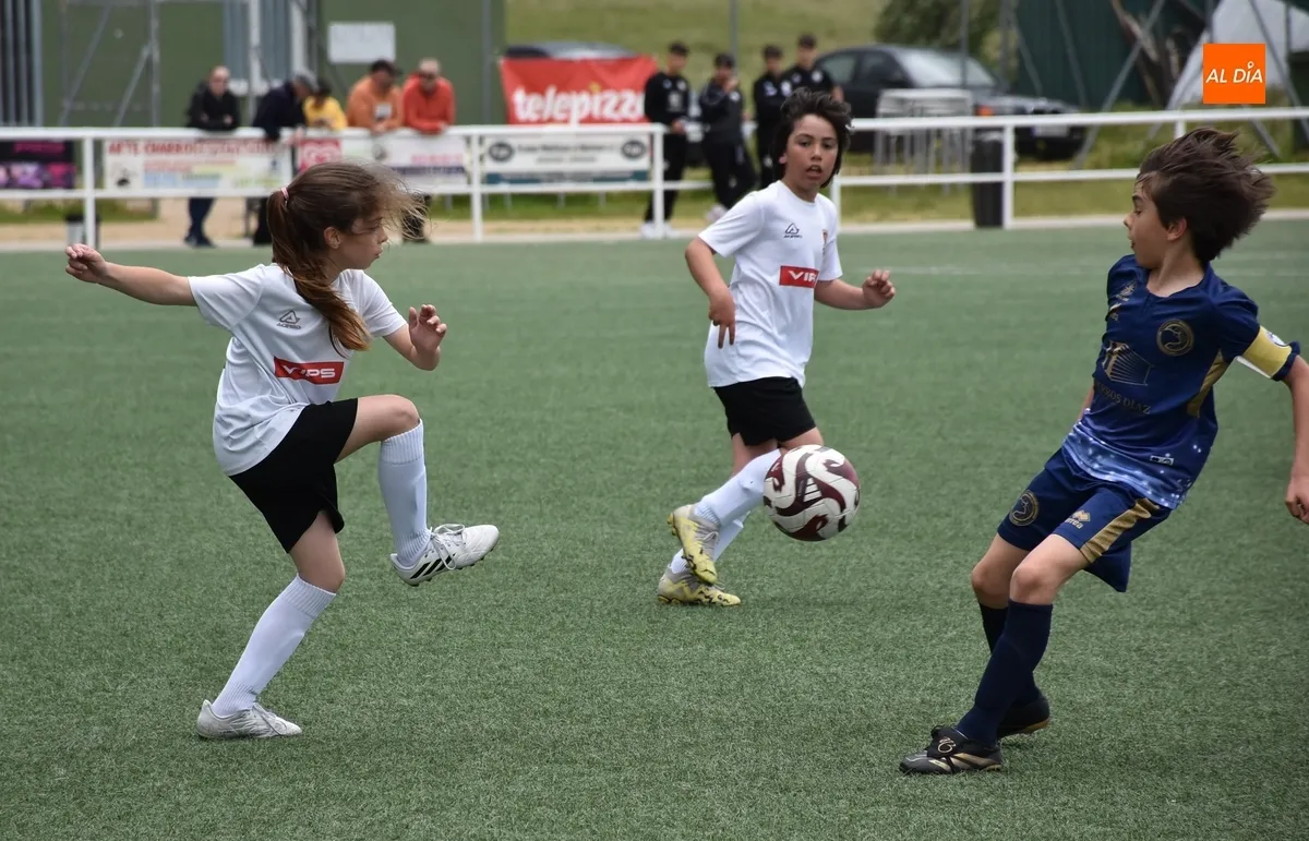 Foto 3 - #M [3-4 MAY] El Benjam&iacute;n A del Ciudad Rodrigo cae por la m&iacute;nima en un vibrante duelo ante Unionistas