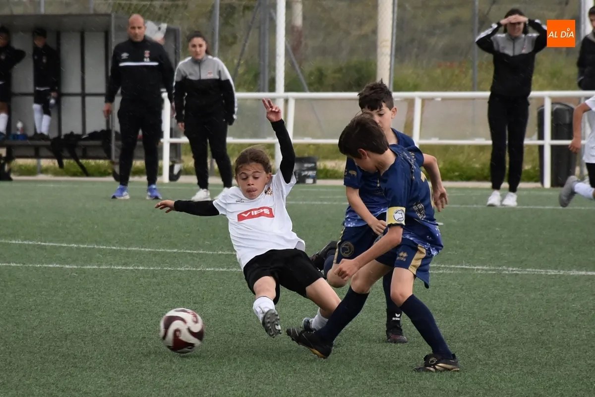Foto 8 - #M [3-4 MAY] El Benjam&iacute;n A del Ciudad Rodrigo cae por la m&iacute;nima en un vibrante duelo ante Unionistas
