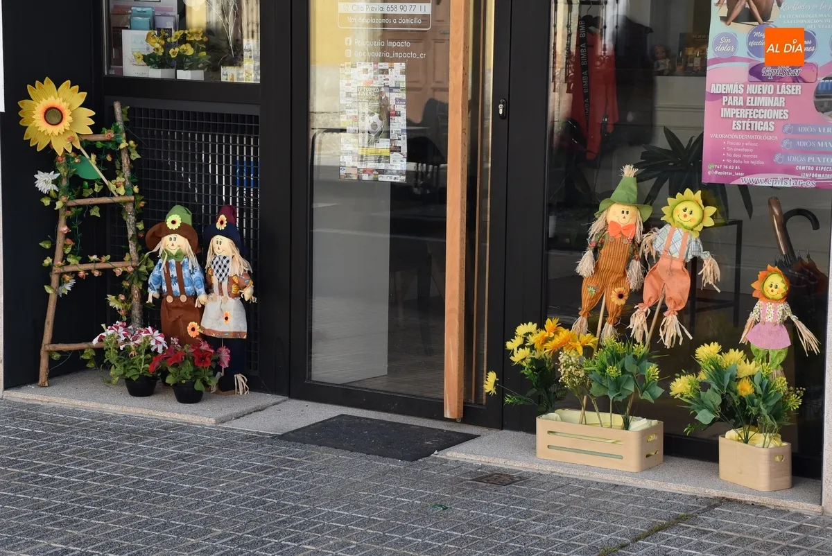 Foto 2 - As&iacute; lucen los espantap&aacute;jaros de la Avenida de B&eacute;jar, parte de C&aacute;rcabas y Asprodes