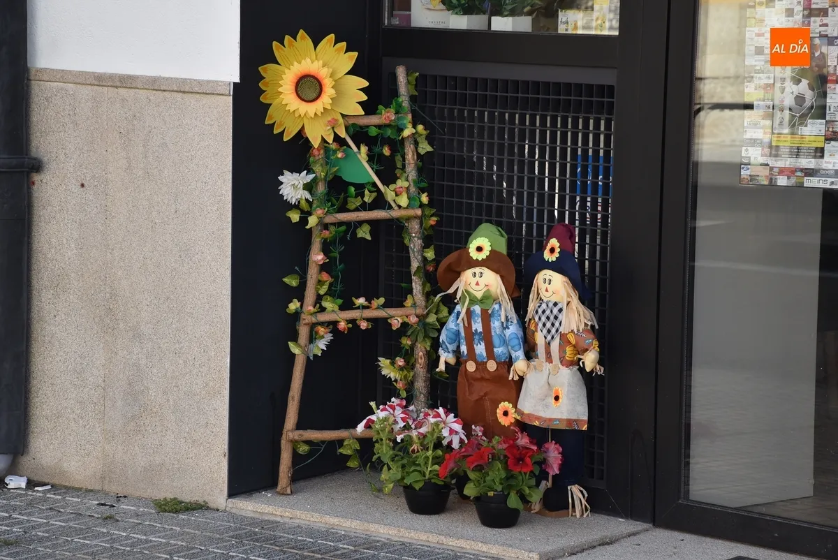 Foto 3 - As&iacute; lucen los espantap&aacute;jaros de la Avenida de B&eacute;jar, parte de C&aacute;rcabas y Asprodes
