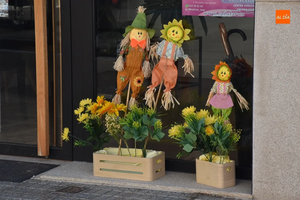 Foto 4 - As&iacute; lucen los espantap&aacute;jaros de la Avenida de B&eacute;jar, parte de C&aacute;rcabas y Asprodes