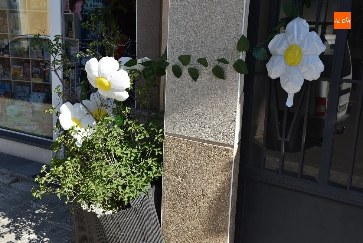 Foto 6 - As&iacute; lucen los espantap&aacute;jaros de la Avenida de B&eacute;jar, parte de C&aacute;rcabas y Asprodes