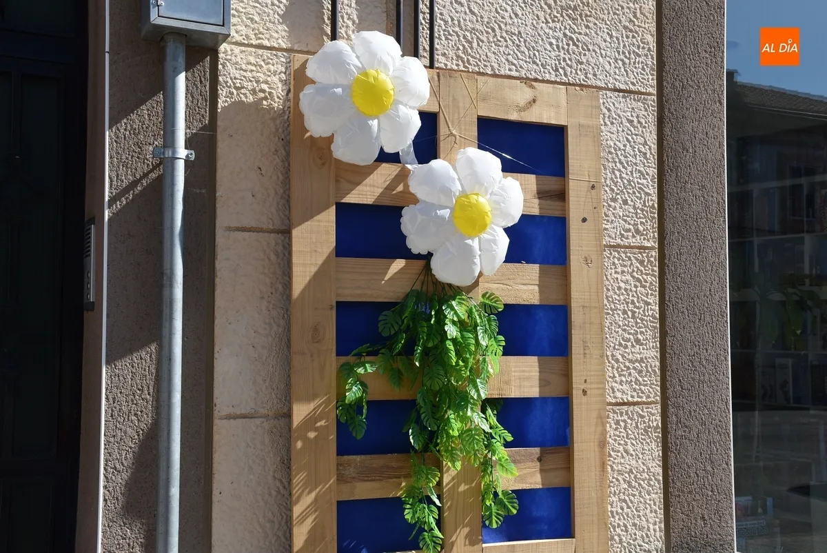 Foto 8 - As&iacute; lucen los espantap&aacute;jaros de la Avenida de B&eacute;jar, parte de C&aacute;rcabas y Asprodes