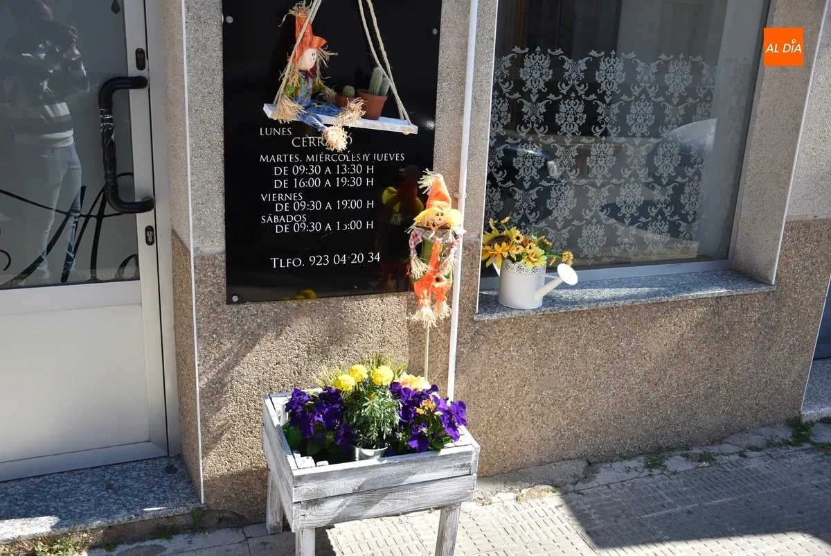 Foto 9 - As&iacute; lucen los espantap&aacute;jaros de la Avenida de B&eacute;jar, parte de C&aacute;rcabas y Asprodes