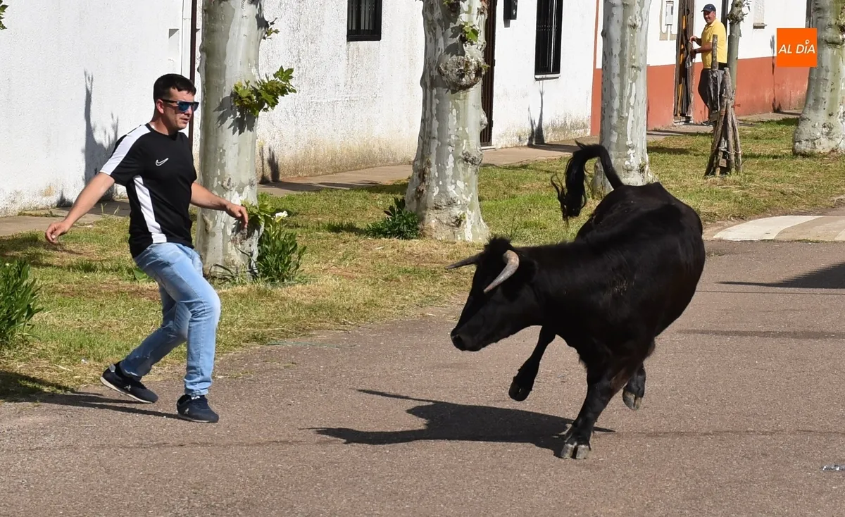 Foto 3 - &Aacute;gueda estrena f&oacute;rmula para su tarde taurina manteniendo el buen ambiente habitual