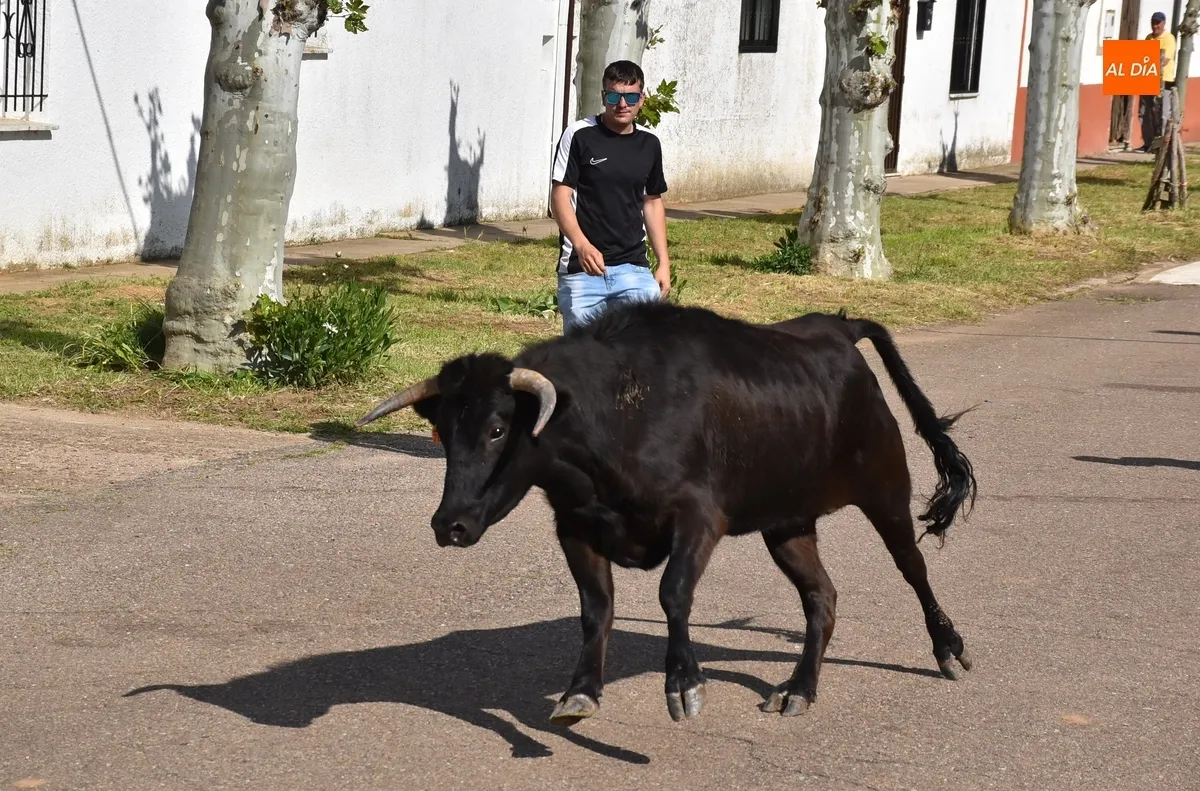 Foto 4 - &Aacute;gueda estrena f&oacute;rmula para su tarde taurina manteniendo el buen ambiente habitual
