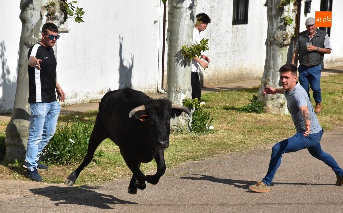 Foto 8 - &Aacute;gueda estrena f&oacute;rmula para su tarde taurina manteniendo el buen ambiente habitual