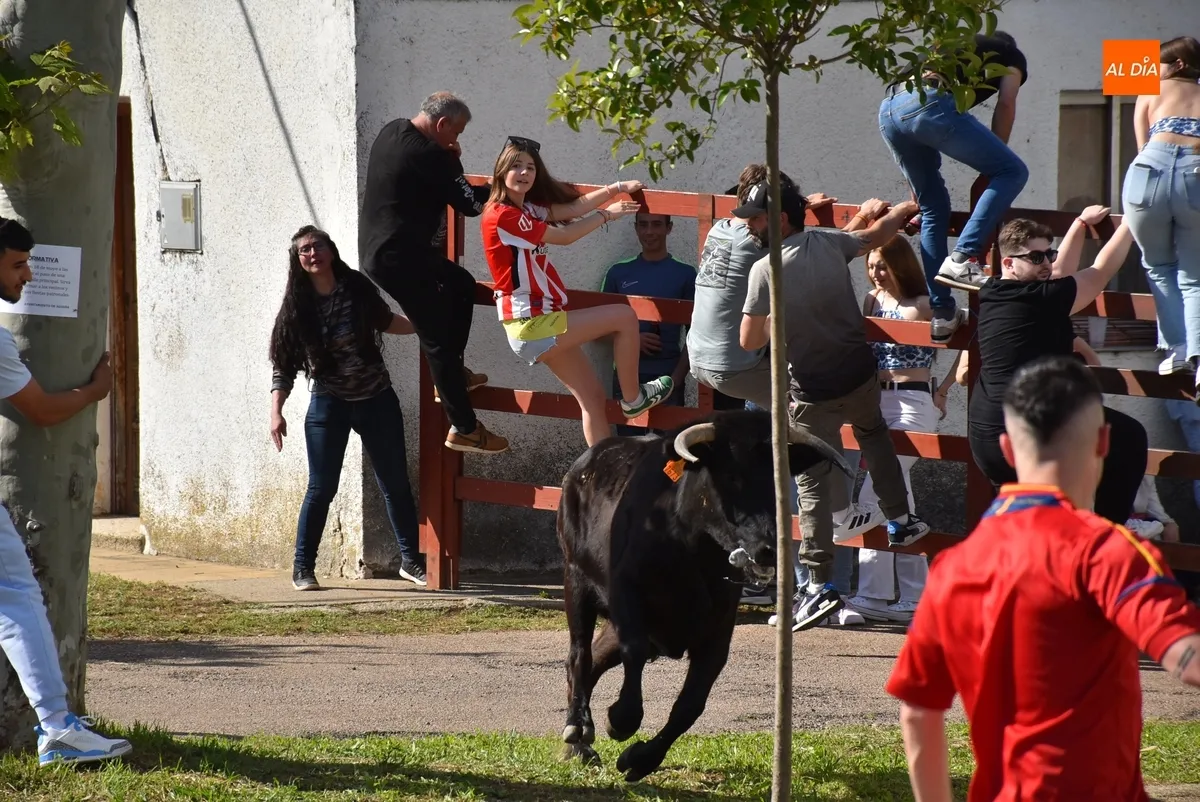 Foto 10 - &Aacute;gueda estrena f&oacute;rmula para su tarde taurina manteniendo el buen ambiente habitual