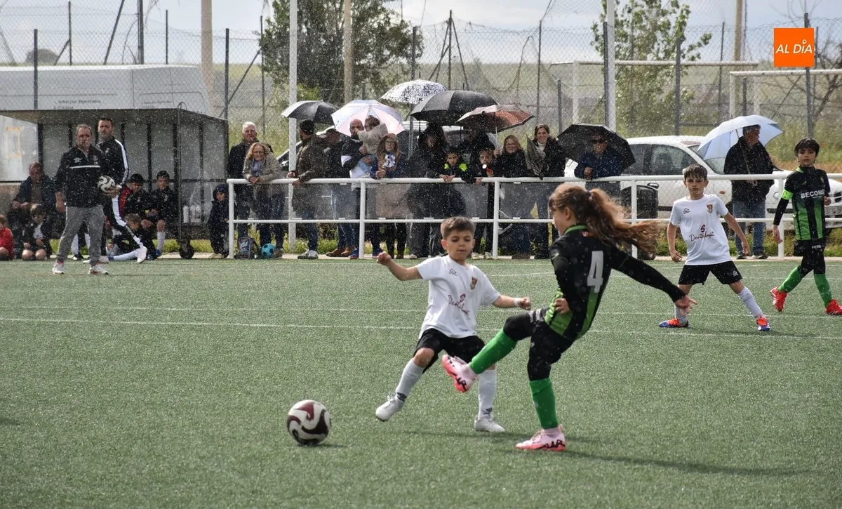 Foto 3 - El Jai Alai-Bol&iacute;var deja sin Liga Prebenjam&iacute;n al Ciudad Rodrigo CF... pero no sin fiesta