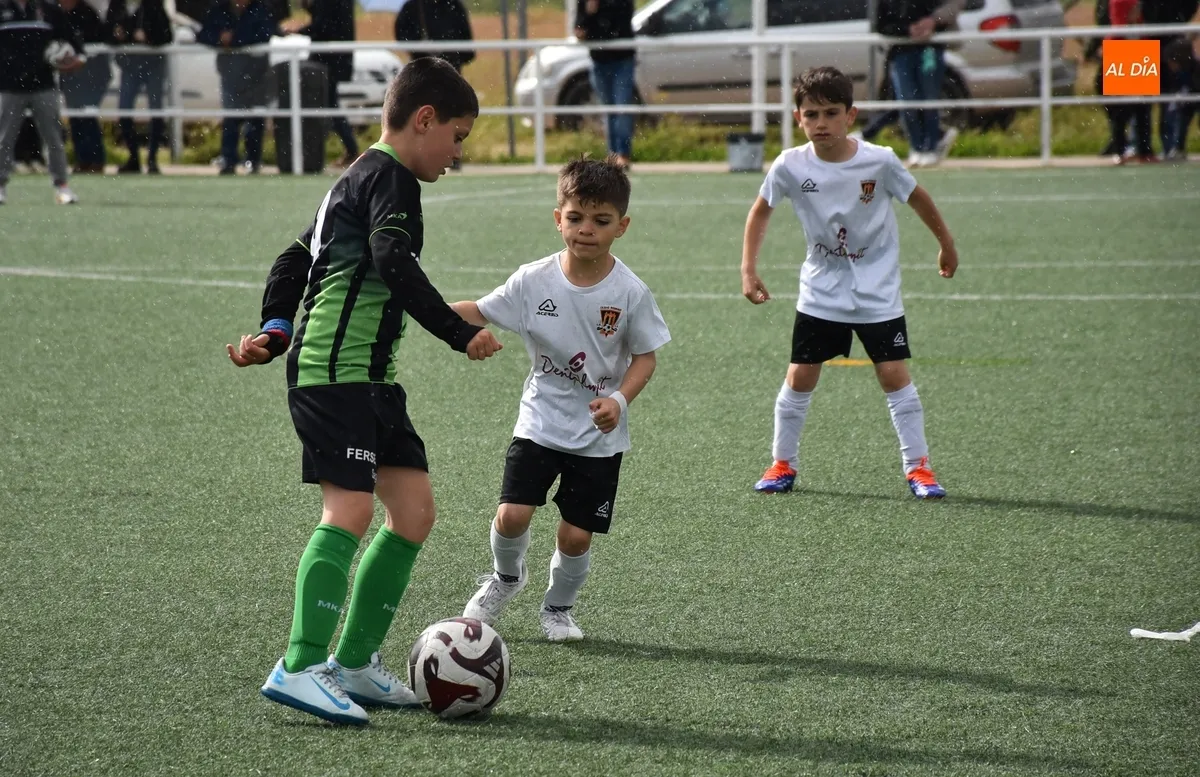 Foto 4 - El Jai Alai-Bol&iacute;var deja sin Liga Prebenjam&iacute;n al Ciudad Rodrigo CF... pero no sin fiesta