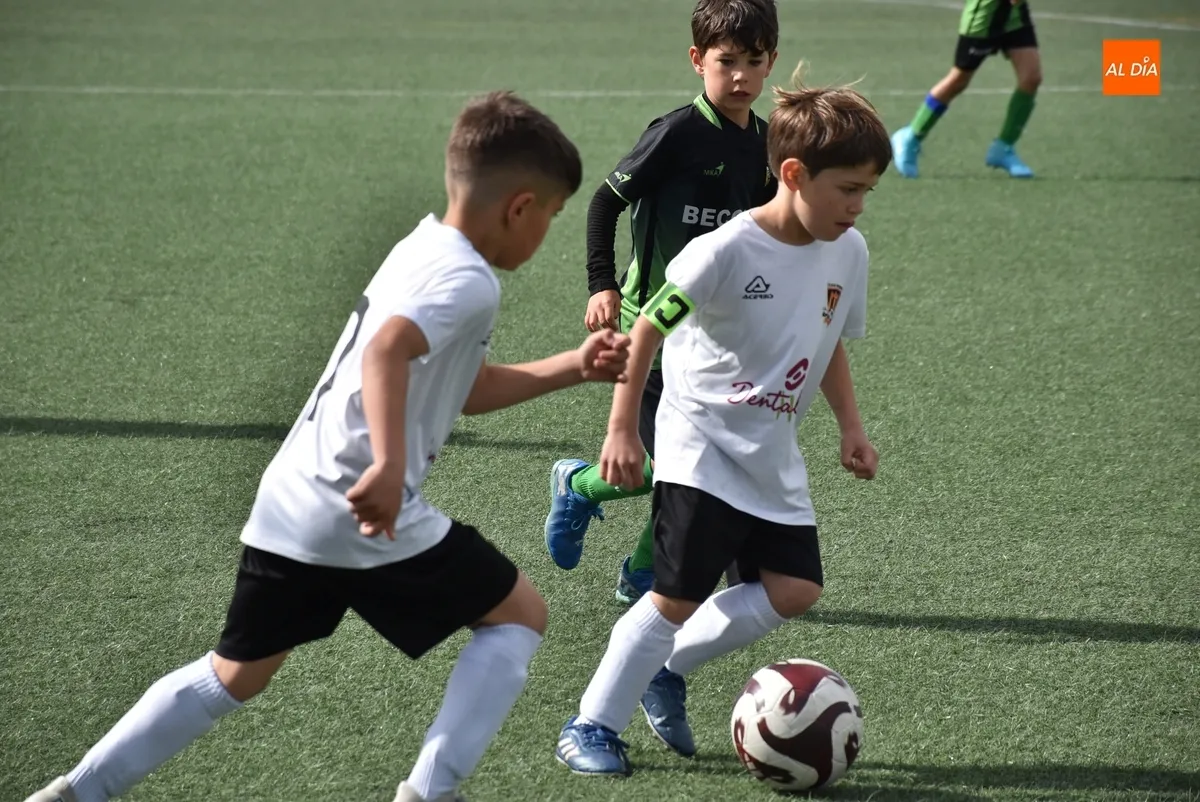 Foto 5 - El Jai Alai-Bol&iacute;var deja sin Liga Prebenjam&iacute;n al Ciudad Rodrigo CF... pero no sin fiesta