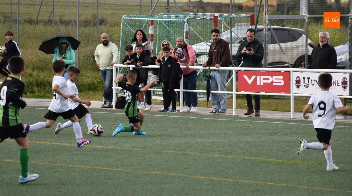 Foto 6 - El Jai Alai-Bol&iacute;var deja sin Liga Prebenjam&iacute;n al Ciudad Rodrigo CF... pero no sin fiesta