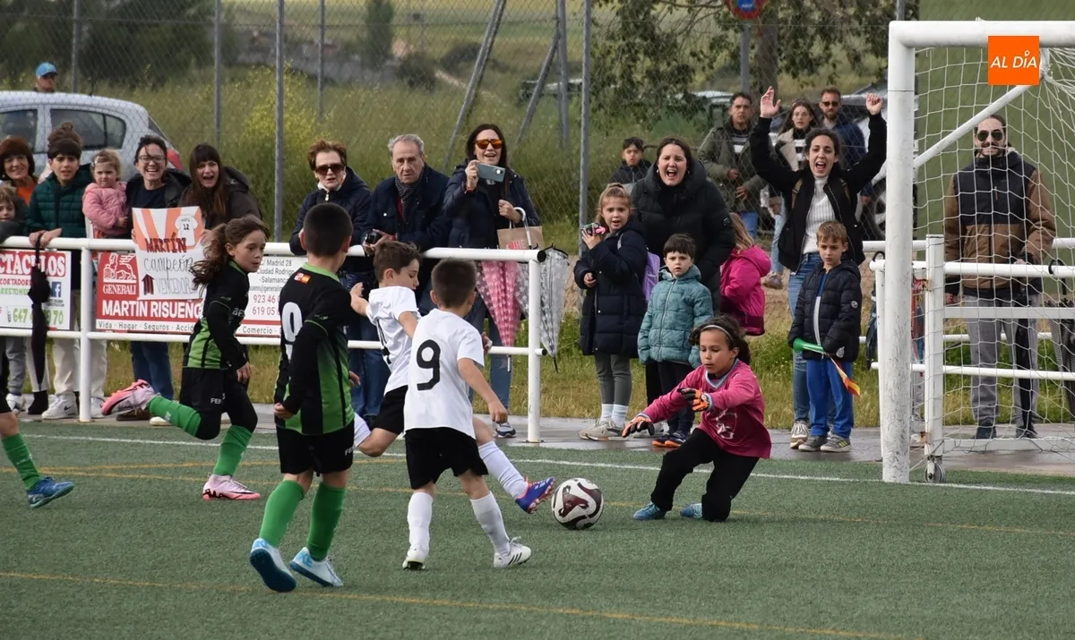 Foto 7 - El Jai Alai-Bol&iacute;var deja sin Liga Prebenjam&iacute;n al Ciudad Rodrigo CF... pero no sin fiesta