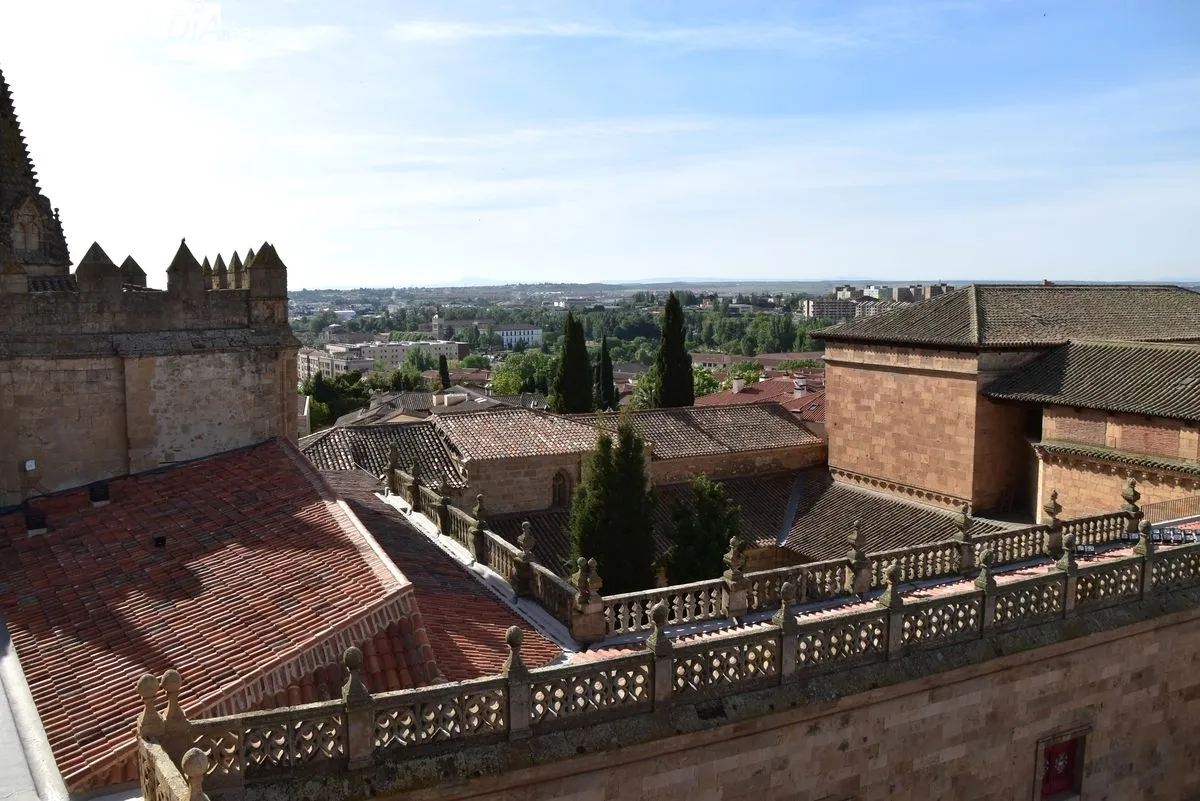 Foto 9 - Salamanca desde 110 metros de altura: dos miradores que transforman la experiencia tur&iacute;stica en la ciudad