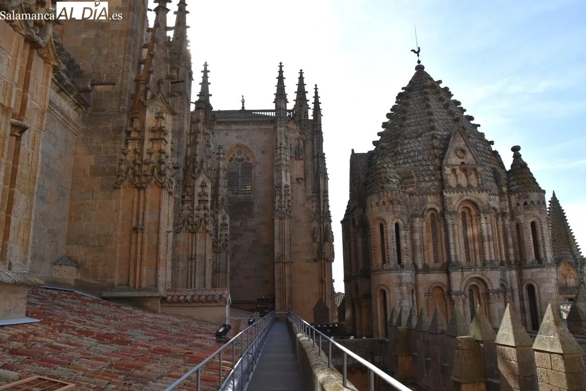 Foto 7 - Salamanca desde 110 metros de altura: dos miradores que transforman la experiencia tur&iacute;stica en la ciudad