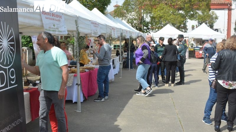 Ahigal de los Aceiteros: feria y marcha contra el cáncer