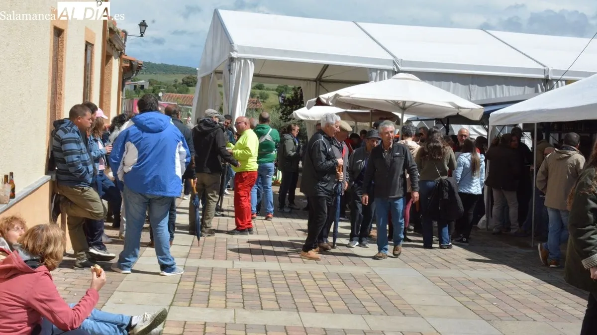 Novillos, cabestros y caballos ofrecieron una bonita estampa campera en el primer encierro de las fiestas