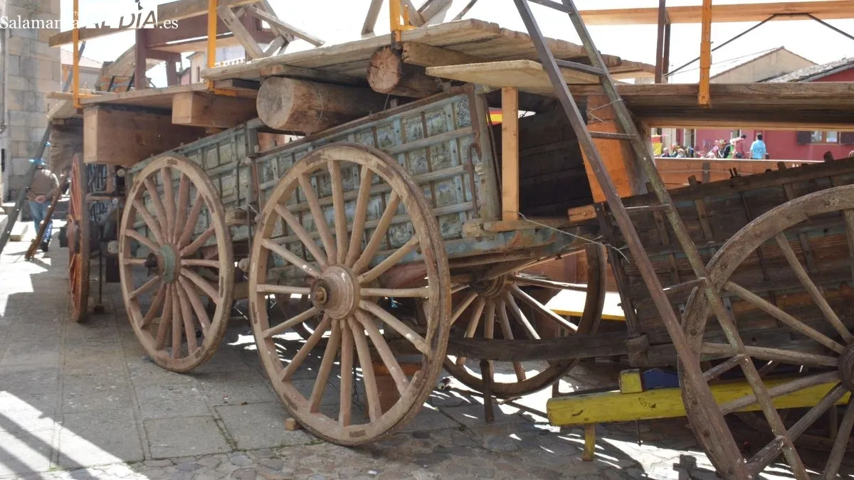 Fiestas del Noveno en San Felices de los Gallegos/ CORREDERA