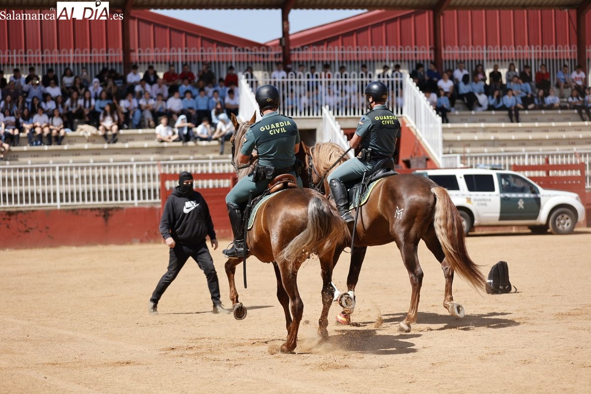 FOTOS y VÍDEO | Más de 2.000 escolares de Salamanca conocen de cerca la labor de la Guardia Civil en una gran exhibición