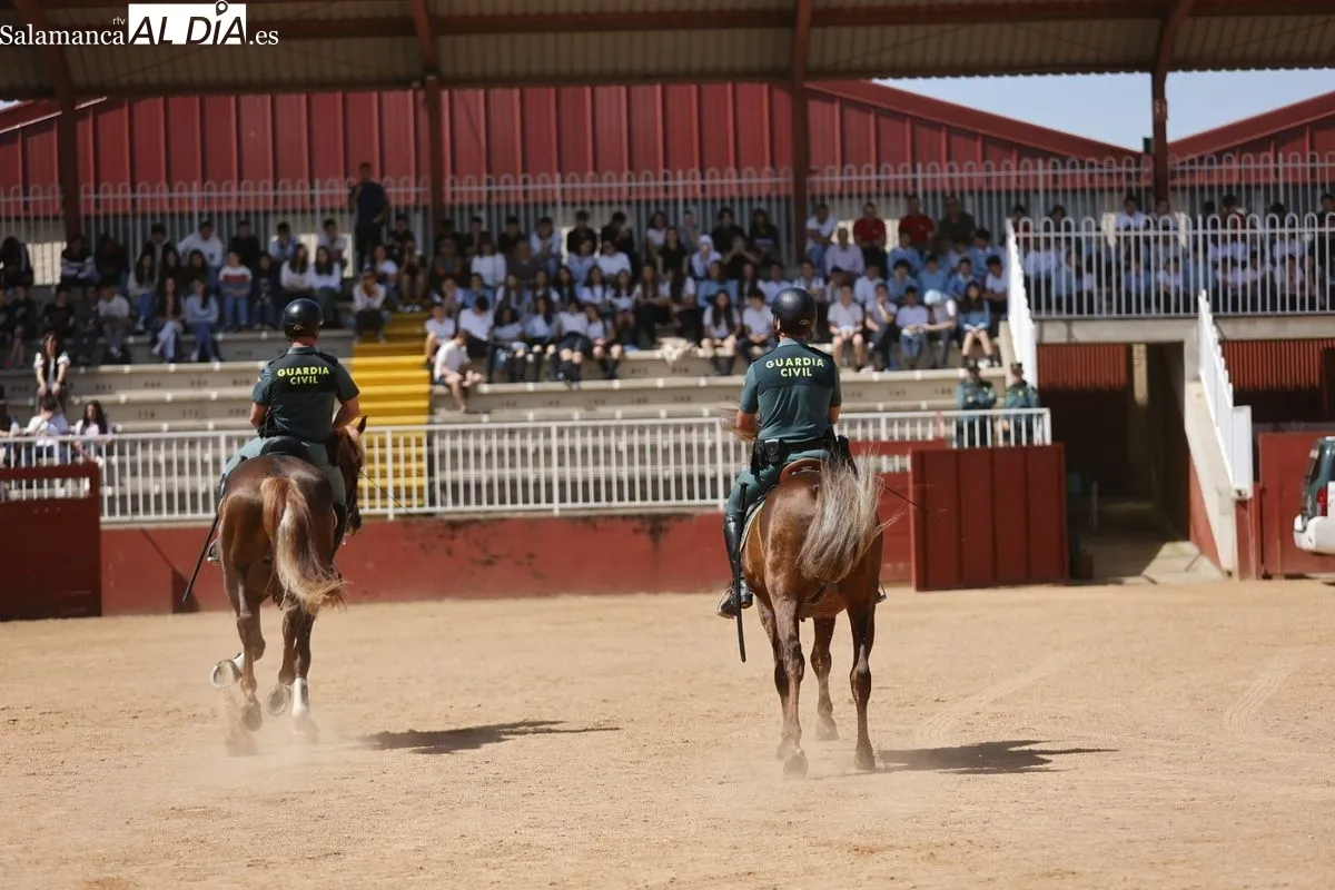 Demostración de la Guardia Civil en el Recinto Ferial de la Diputación de Salamanca ante 2.000 escolares. Foto de David Sañudo