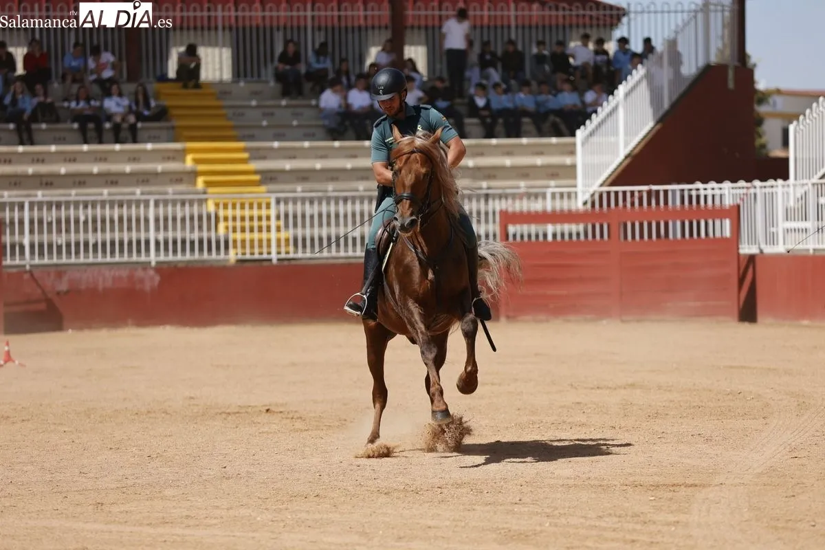 Demostración de la Guardia Civil en el Recinto Ferial de la Diputación de Salamanca ante 2.000 escolares. Foto de David Sañudo