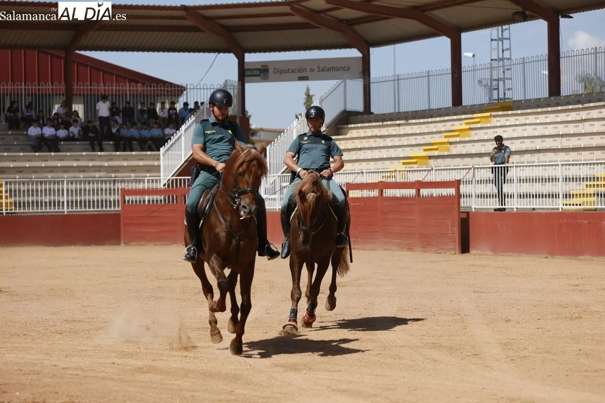 Demostración de la Guardia Civil en el Recinto Ferial de la Diputación de Salamanca ante 2.000 escolares. Foto de David Sañudo