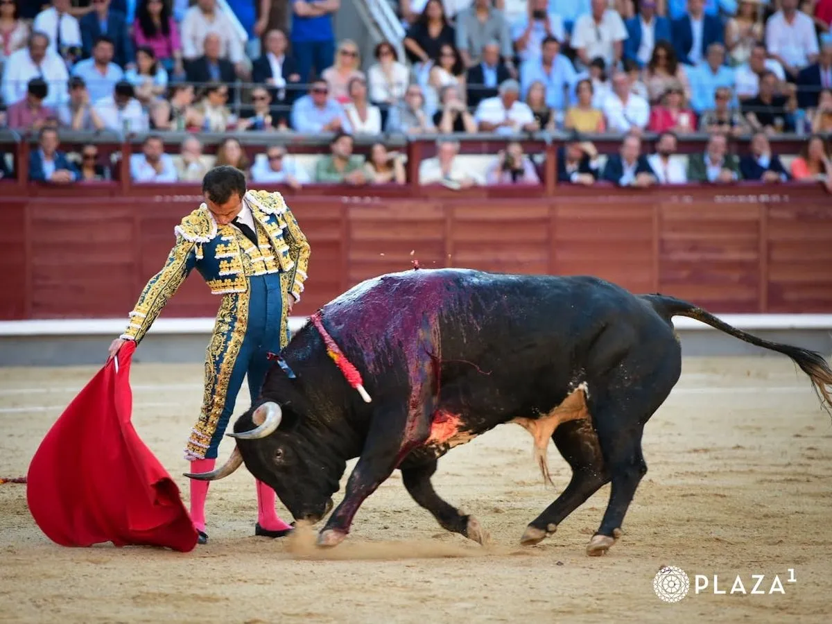 Damián Castaño, en su primero del lote