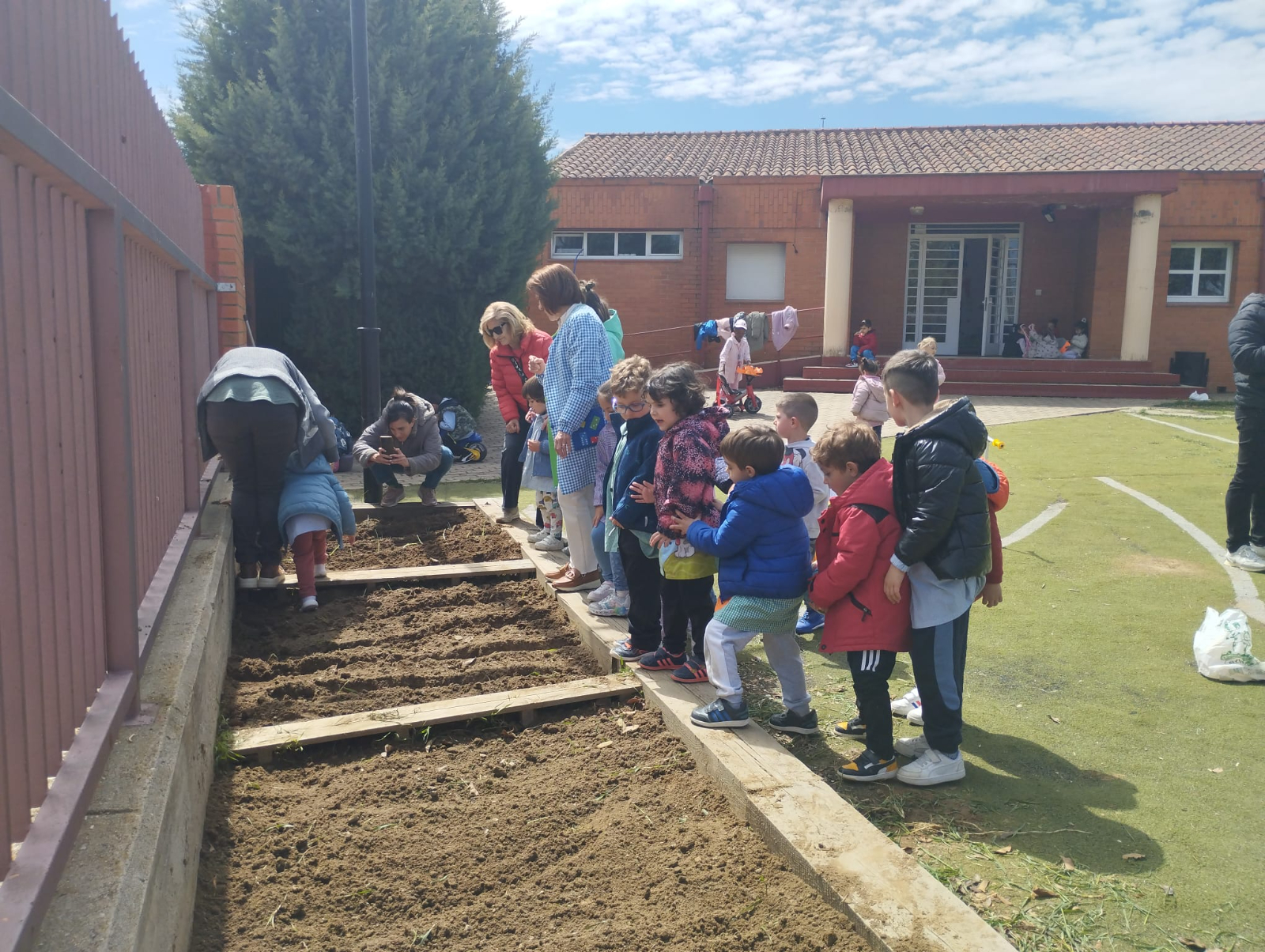 El colegio Carmen Martín Gaite de Santa Marta estrena su propio huerto