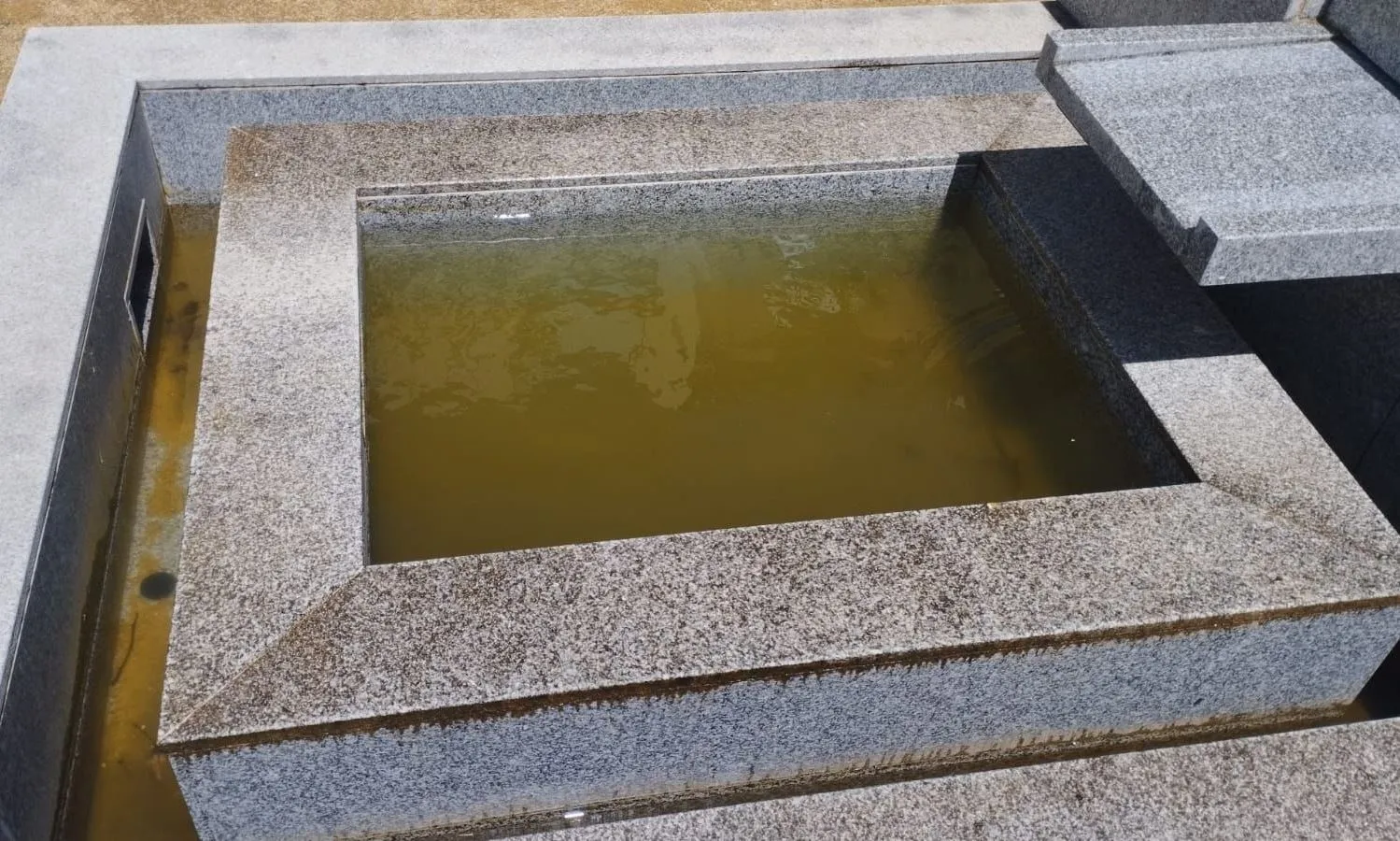 Foto 3 - El PSOE denuncia el &ldquo;lamentable estado&rdquo; del Campo de Carniceros en pleno puente