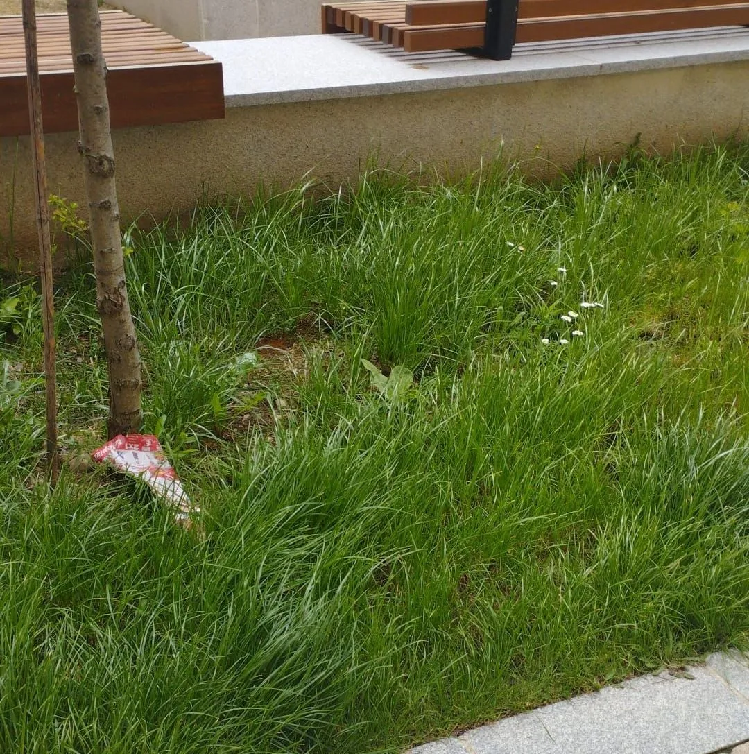Foto 2 - El PSOE denuncia el &ldquo;lamentable estado&rdquo; del Campo de Carniceros en pleno puente