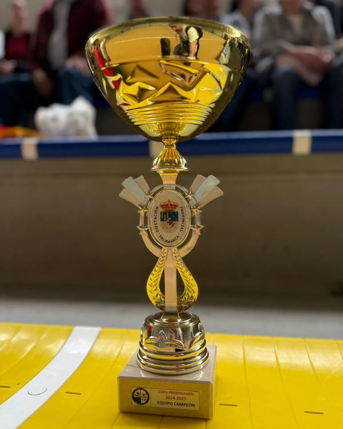Foto 4 - Los 2 Prebenjamines del III Columnas triunfan en sus respectivas Copas Asafusa