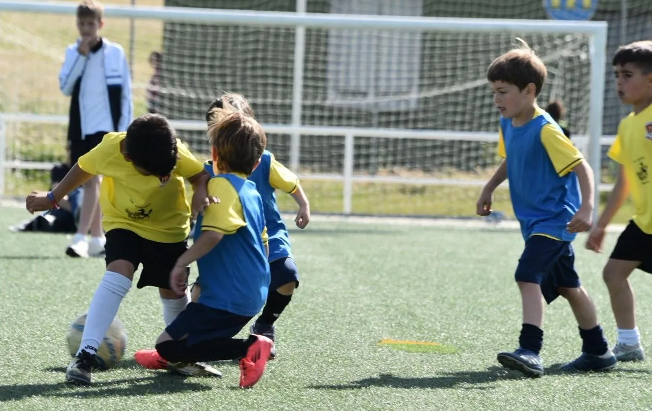 Foto 7 - La Liga Prebenjam&iacute;n del Ciudad Rodrigo recupera un encuentro aplazado