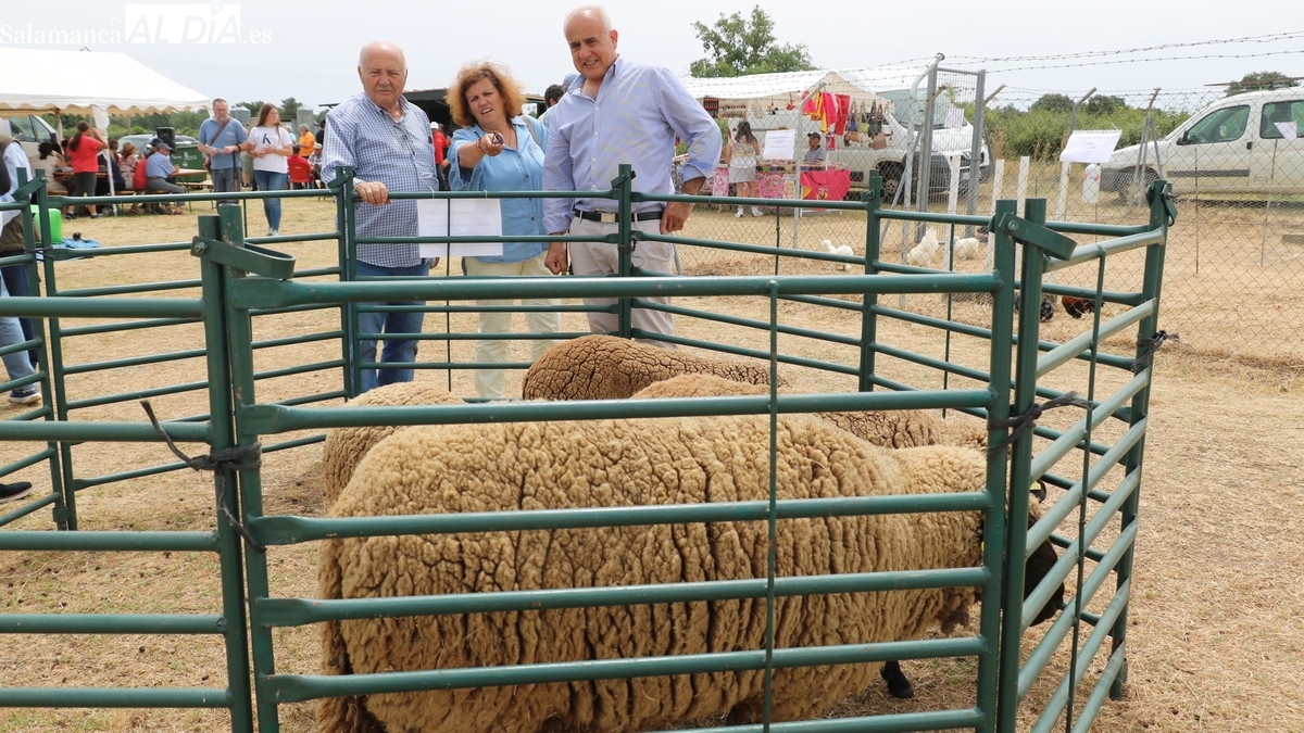 Feria Ganadera Bañobárez 2025: Programa, fechas y ganado