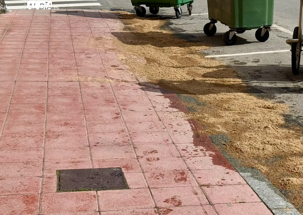 Foto 3 - Bomberos y operarios municipales realizan un operativo para limpiar un vertido de aceite generado por la aver&iacute;a del cami&oacute;n de la Mancomunidad