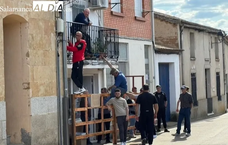 VIII Toro de San Isidro en Cantalpino