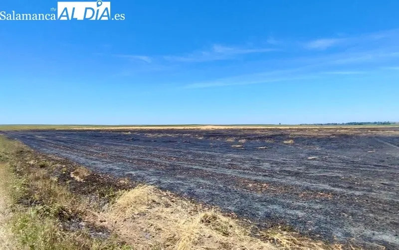 Foto 2 - Bomberos y agricultores trabajan juntos para extinguir un incendio en Nava de Sotrobal