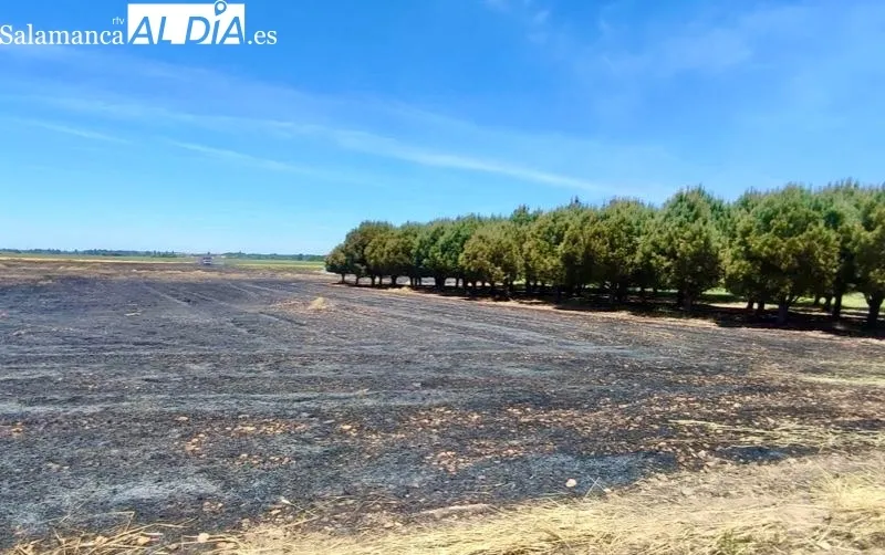 Foto 3 - Bomberos y agricultores trabajan juntos para extinguir un incendio en Nava de Sotrobal