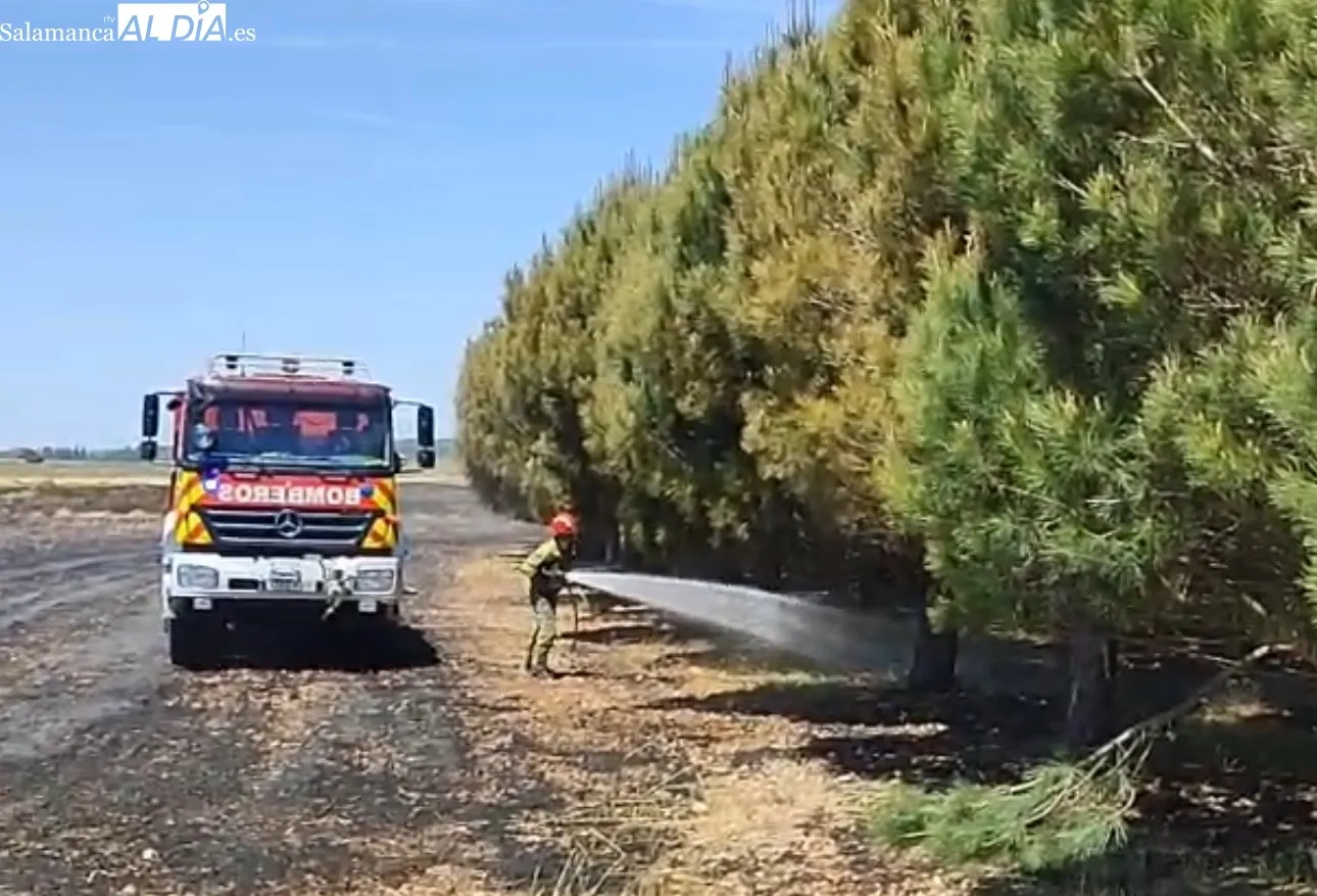 Foto 4 - Bomberos y agricultores trabajan juntos para extinguir un incendio en Nava de Sotrobal