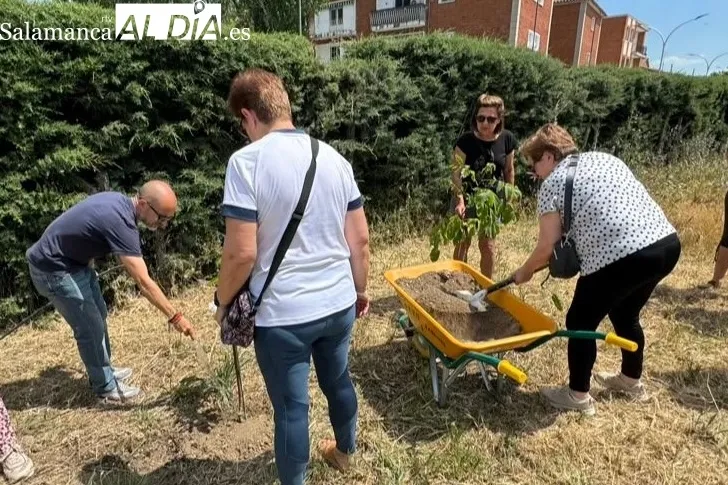 Plantación de árboles de los grupos de Yoga en Peñaranda