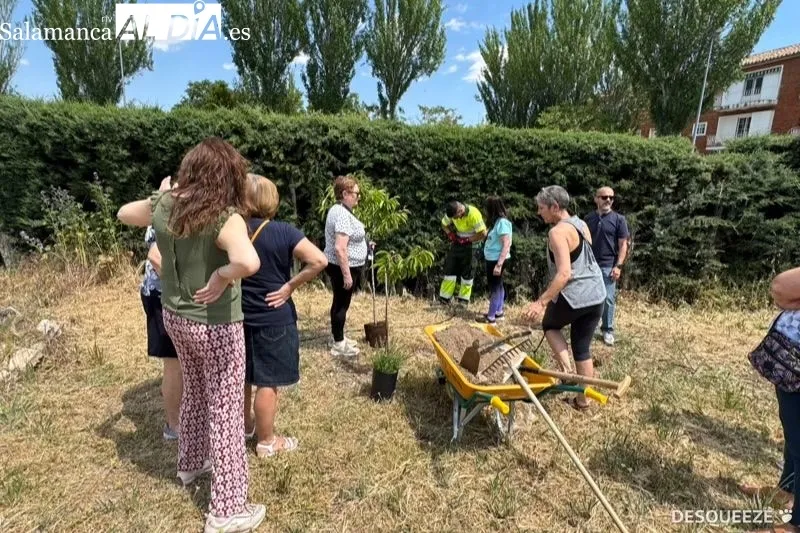 Plantación de árboles de los grupos de Yoga en Peñaranda