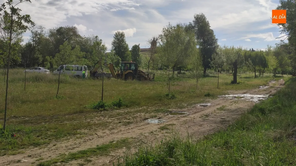 Foto 2 - La Alameda de la Moretona empieza a recibir nuevos &aacute;rboles