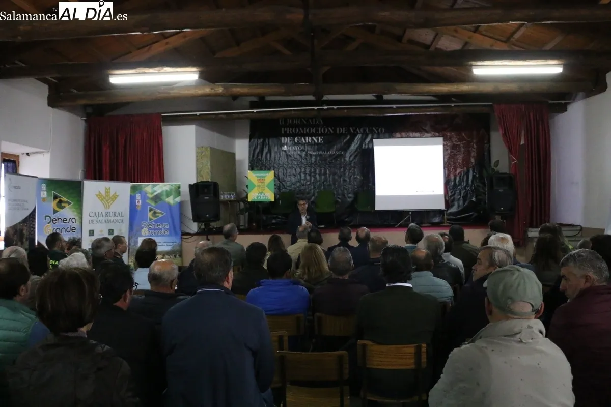 II Jornada de Promoción del Vacuno de Carne en Peralejos de Abajo / CORRAL 