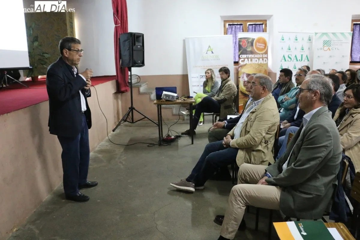 II Jornada de Promoción del Vacuno de Carne en Peralejos de Abajo / CORRAL 