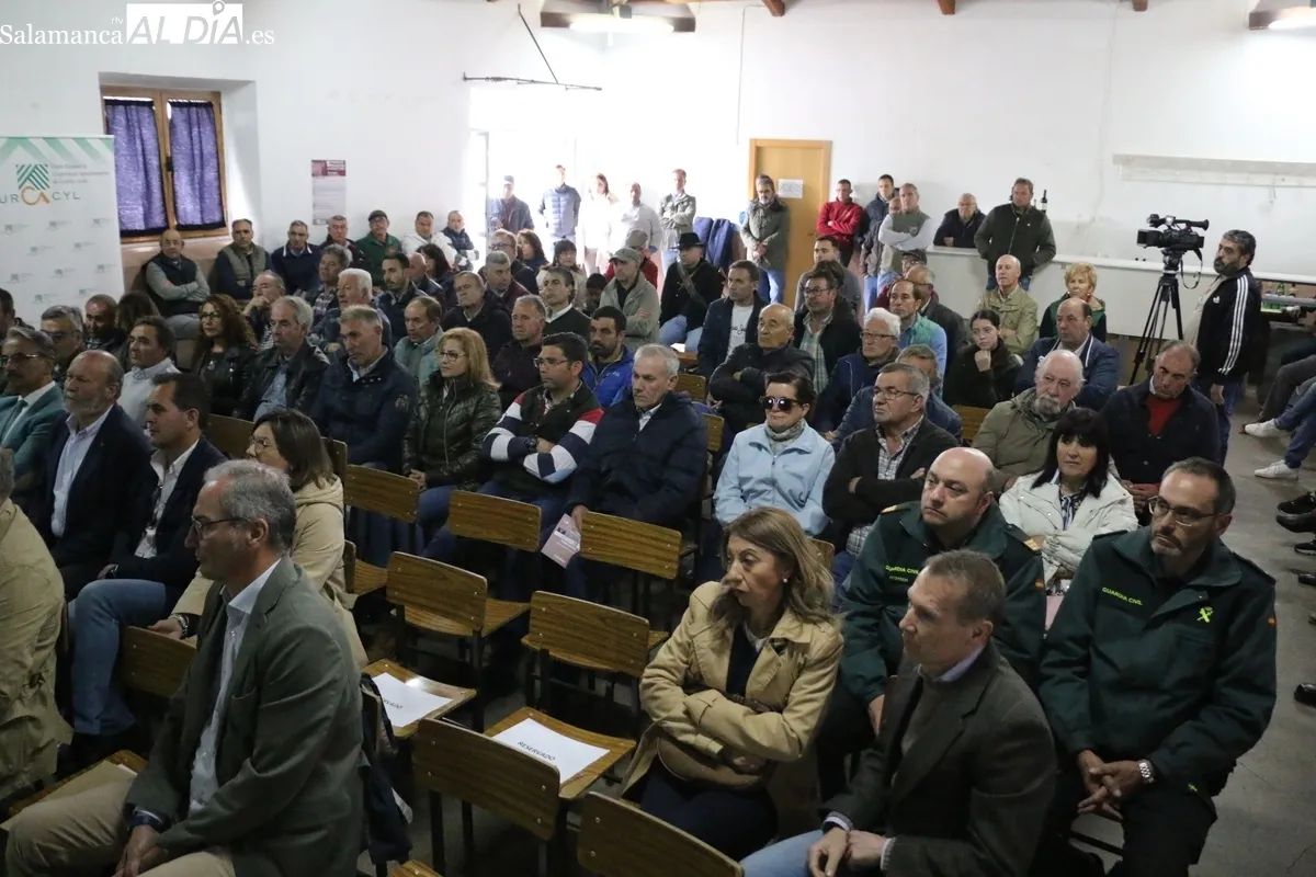II Jornada de Promoción del Vacuno de Carne en Peralejos de Abajo / CORRAL 