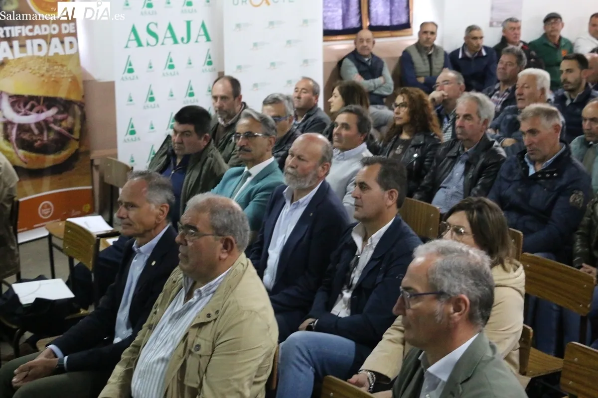 II Jornada de Promoción del Vacuno de Carne en Peralejos de Abajo / CORRAL 