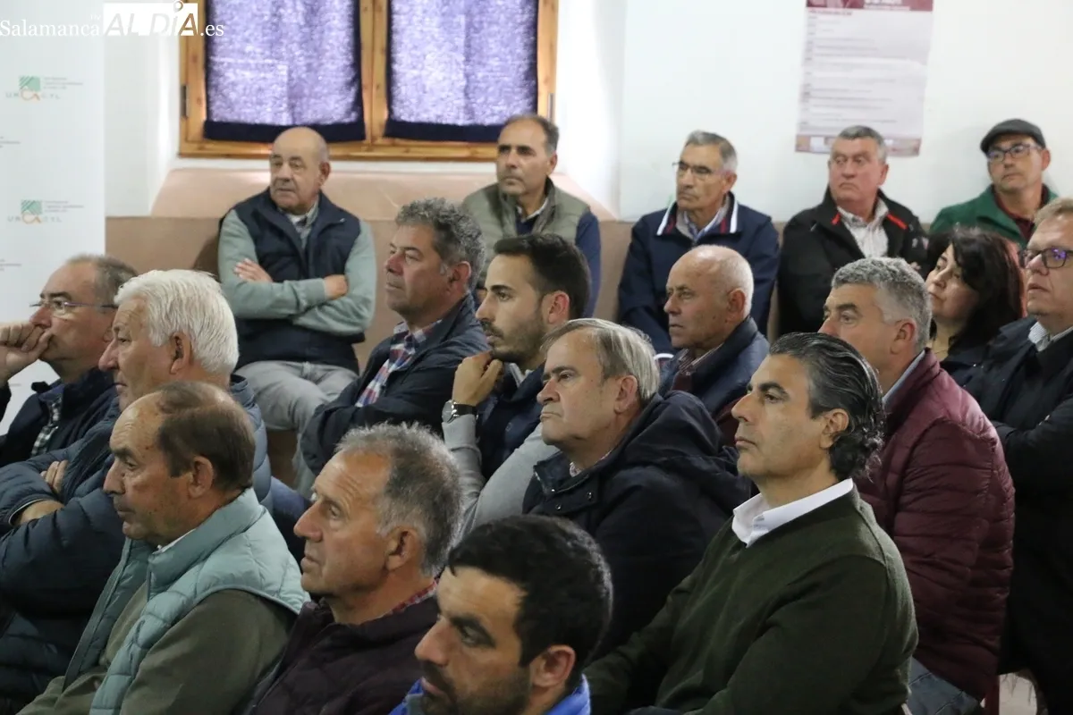 II Jornada de Promoción del Vacuno de Carne en Peralejos de Abajo / CORRAL 