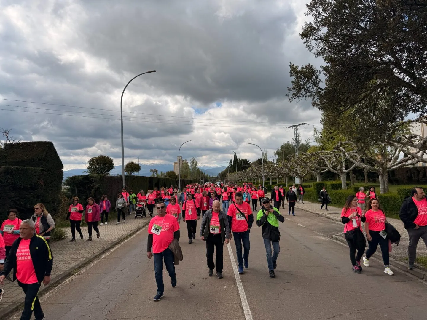 Más de 450 personas participan en la II Marcha contra el Cáncer de Guijuelo | FOTOS: Ayuntamiento de Guijuelo 