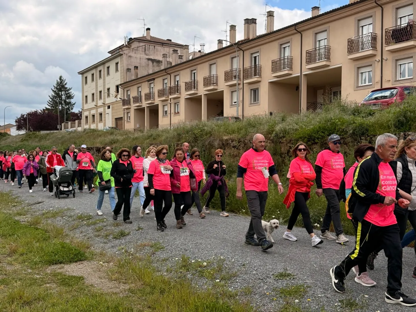 Más de 450 personas participan en la II Marcha contra el Cáncer de Guijuelo | FOTOS: Ayuntamiento de Guijuelo 
