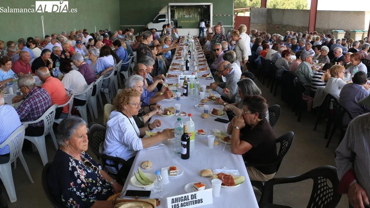 Cerca de 260 mayores de 26 municipios coincidieron en Pereña en esta IV Convivencia Comarcal de Primavera / CORRAL